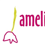 Centrum Amelie: Tulipány