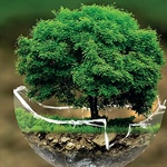 Setkání u komunitního kompostéru v zahradě Pod Rapidem